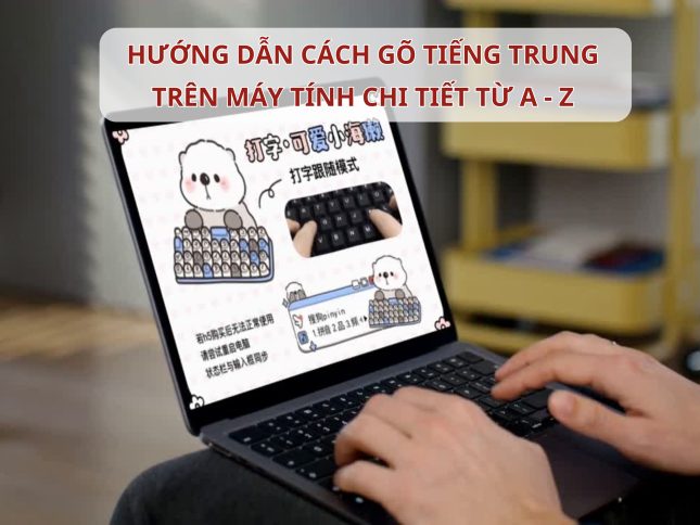 Hướng dẫn cách gõ tiếng Trung trên máy tính đầy đủ, chi tiết từ A đến Z