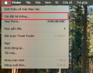 Vào cài đặt hệ thống trên máy tính Mac